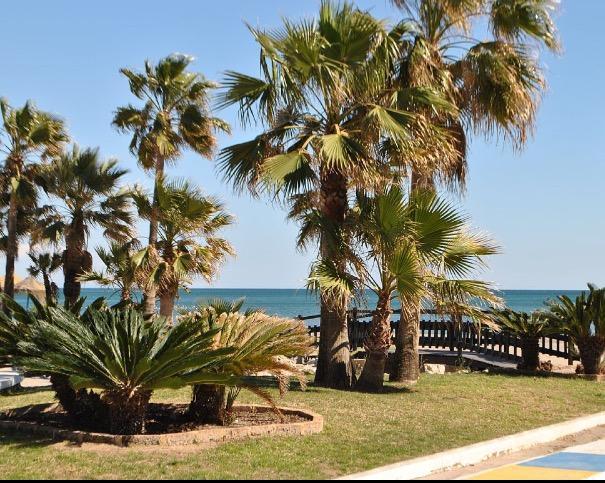 Perla Del Sol 1 L Apartment Torremolinos Exterior foto